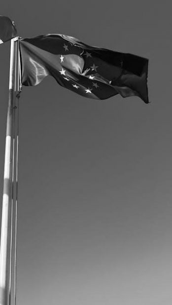 statutory declaration of common-law union guide