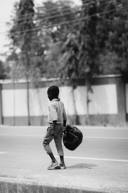 the pedestrian pdf