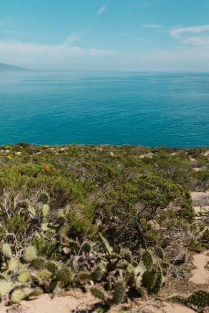 hotel california intro guitar tabs pdf