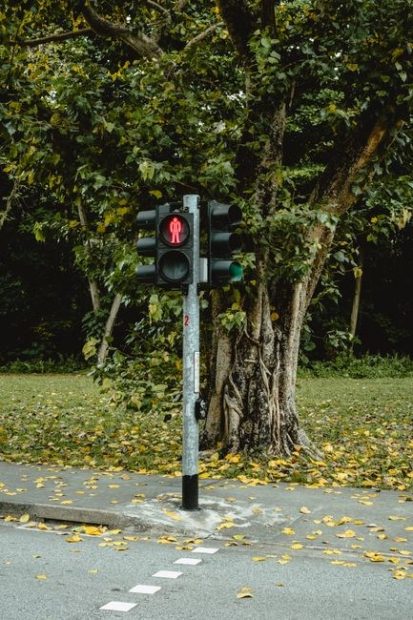 visual signals army ground guide signals